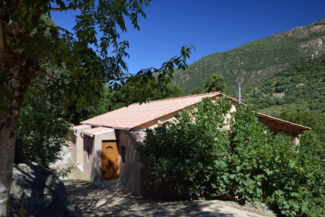 Вілла Casa Del Torrente Porto  Номер фото